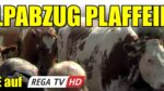 Alpabzug 2022 Plaffeien (USB STICK)