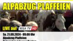 Alpabzug Plaffeien 2024 (USB Stick)