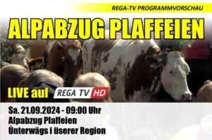 Alpabzug Plaffeien 2024 (USB Stick)