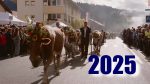 Alpabzug Plaffeien 2025 (USB Stick)