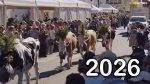 Alpabzug Plaffeien 2026 (USB Stick)